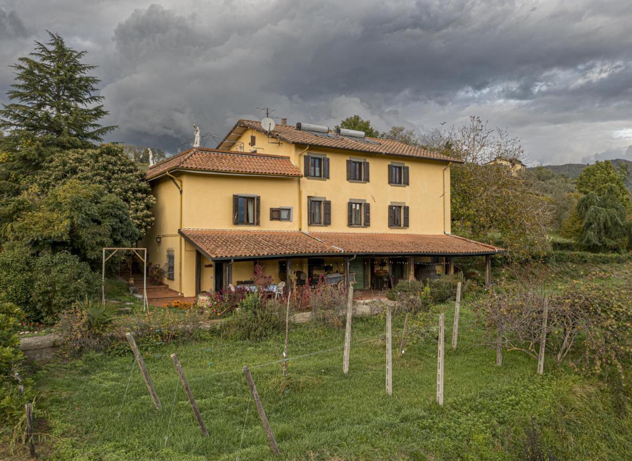 Il Bardellino