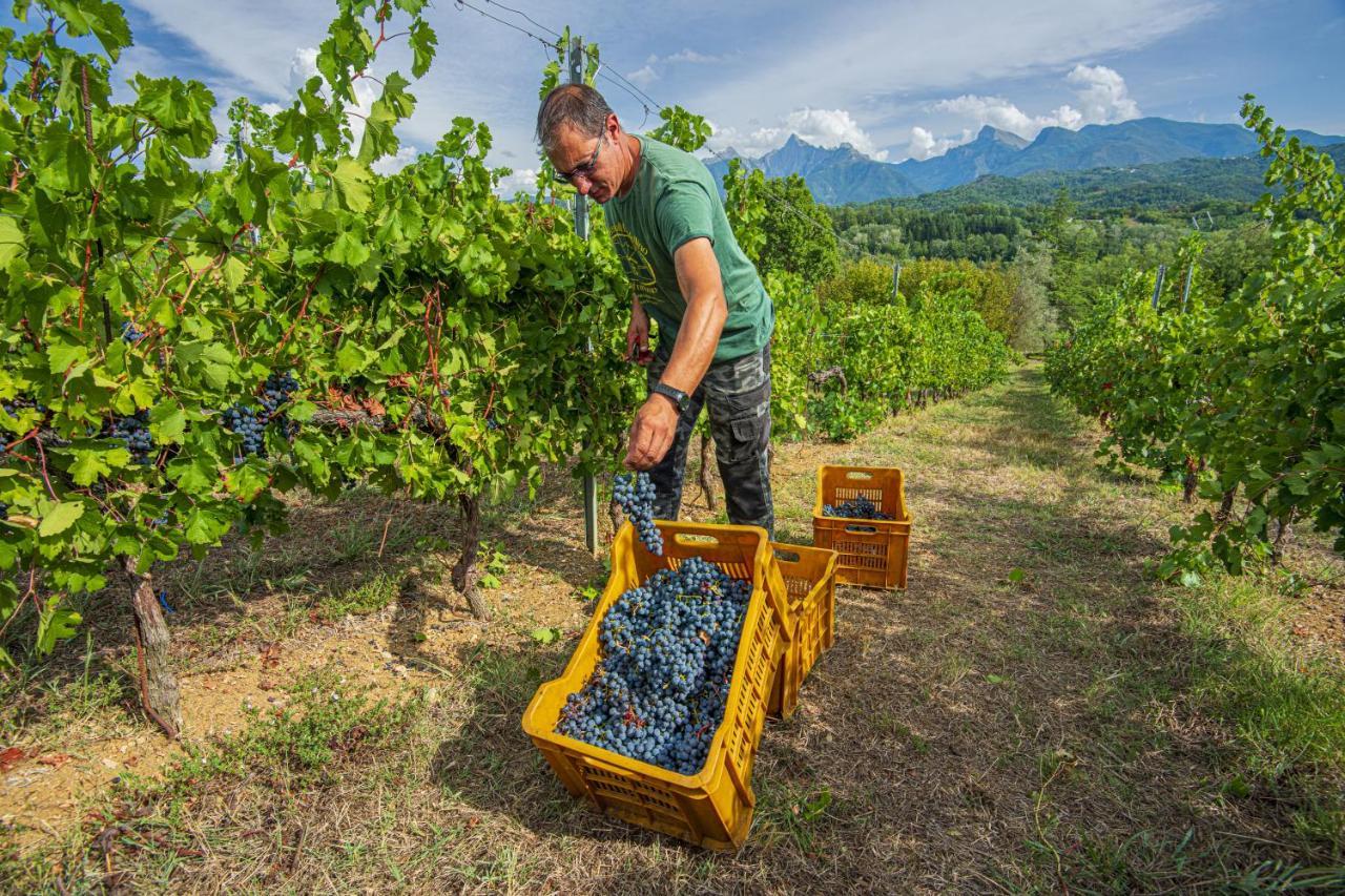 Il Bardellino Séjour à la ferme Fivizzano