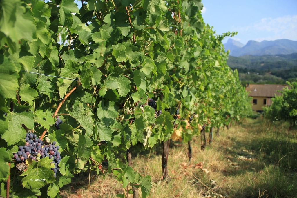 Il Bardellino Séjour à la ferme *